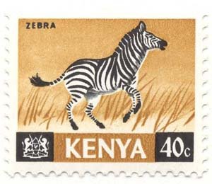 Grant's Zebra (Equus quagga granti)