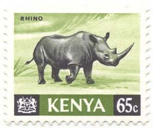 Black Rhinoceros (Diceros bicornis)