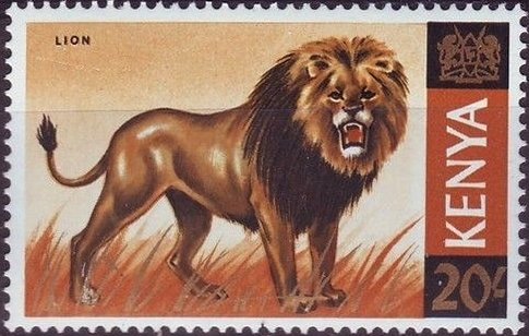 Lion (Panthera leo)