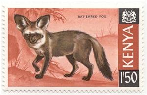 Stamp, Bat-eared Fox (Otocyon megalotis), Kenya,  , Mammals, Animals (Fauna)