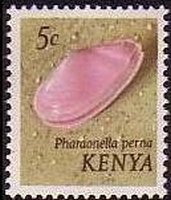 Morning Pink (Pharaonella perna)