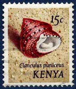 Stamp, Strawberry Top Shell (Clanculus puniceus), Kenya,  , Shells