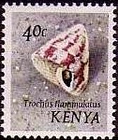 Stamp, Flame Top Shell (Trochus flammulatus), Kenya,  , Shells