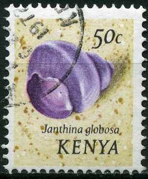 Violet Globe Snail (Janthina globosa)