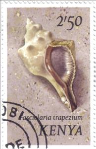 Stamp, Trapezium Horse Conch (Fasciolaria trapezium), Kenya,  , Shells