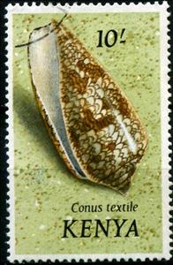 Stamp, Textile Cone (Conus textile), Kenya,  , Molluscs, Shells, Animals (Fauna)
