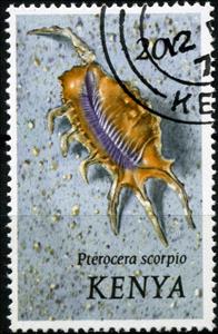 Stamp, Scorpion Conch (Pterocera scorpio), Kenya,  , Molluscs, Shells, Animals (Fauna)