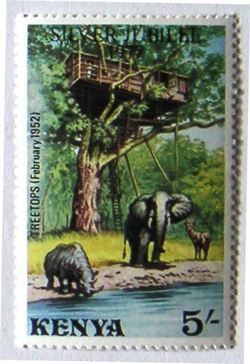 Tree Hotel, African Elephant (Loxodonta africana), Rhino, An