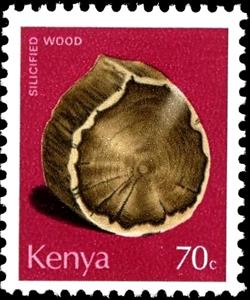 Stamp, Fossilized Wood, Kenya,  , Minerals