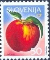 Fruits in Slovenia - Redhaven Peach