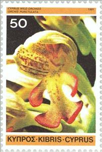 Stamp, Orchis punctulata - Small-dotted orchis, Cyprus,  , Flowers, Orchids, Plants (Flora)