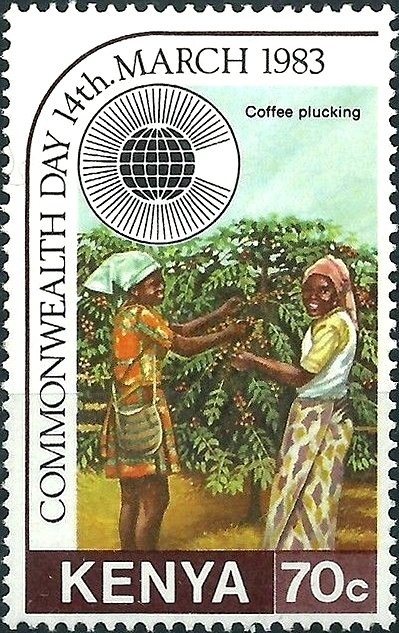Coffee picking