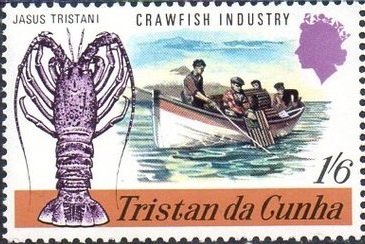 Tristan Rock Lobster (Jasus tristani), Fishing Boat