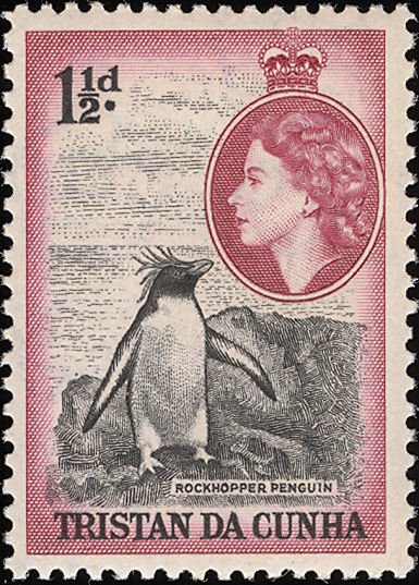 Southern Rockhopper Penguin (Eudyptes chrysocome)