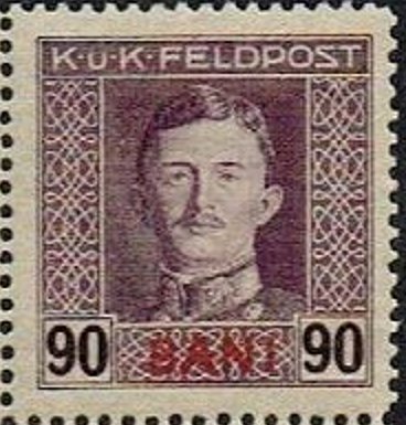 overprint BANI