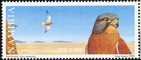 Stamp, Common Kestrel (Falco tinnunculus), Namibia,  , Birds, Birds of Prey, Animals (Fauna), Falcons