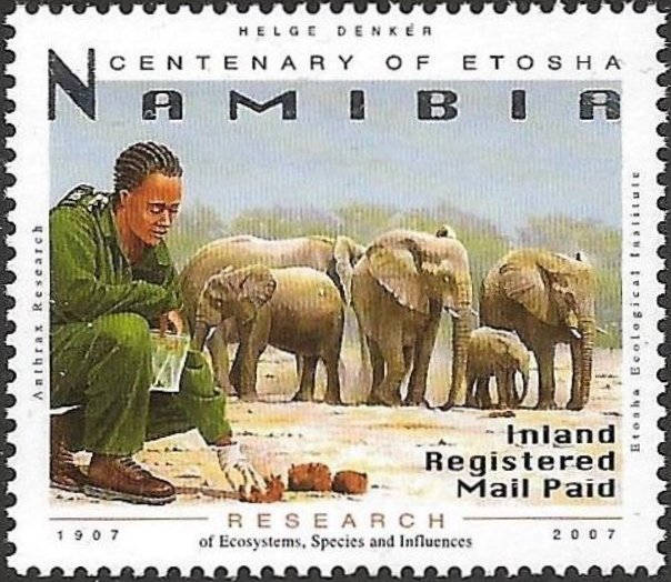 African Elephant (Loxodonta africana)