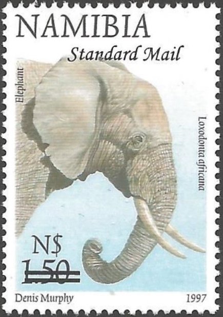 African Elephant (Loxodonta africana) - Overcharged