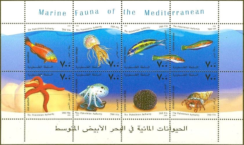 Marine Life - MiNo. 158-65
