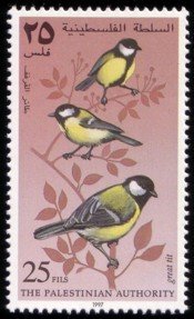 Great Tit (Parus major)