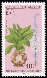 Medicinal plants