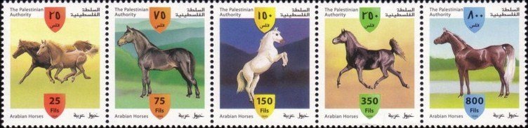 Arabian Horses - MiNo. 113-17