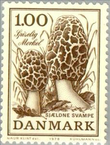 Stamp, Common Morel (Morchella esculenta), Denmark,  , Mushrooms