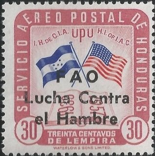 Flags of Honduras and the United States