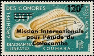 Stamp, Diagonal-banded Sweetlips (Diagramma lineatus), Comoros,  , Fishes