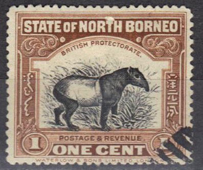 Asian Tapir (Tapirus indicus)