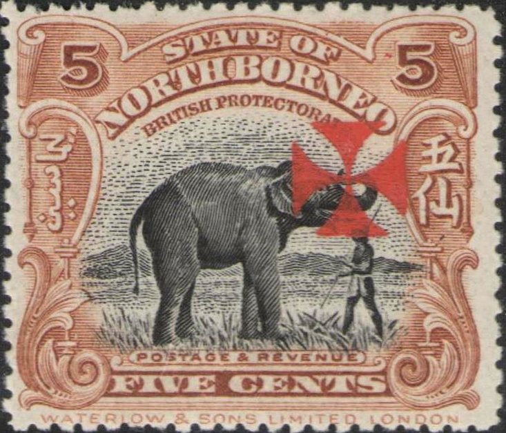 Asian Elephant (Elephas maximus) with Maltese Cross