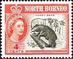 Sun Bear (Ursus malayanus)
