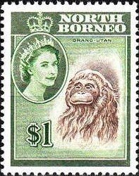 Stamp, Bornean Orangutan (Pongo pygmaeus), North Borneo,  , Monkeys