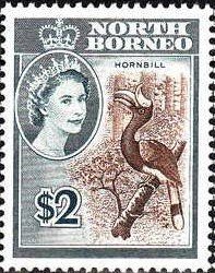 Stamp, Rhinoceros Hornbill (Buceros rhinoceros), North Borneo,  , Birds