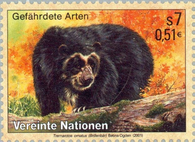 Spectacled Bear (Tremarctos ornatus)