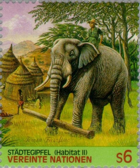 African Elephant (Loxodonta africana)