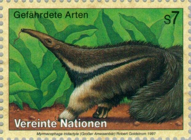 Giant Anteater (Myrmecophaga tridactyla)