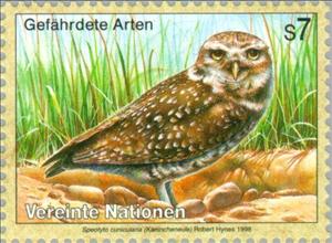 Stamp, Burrowing Owl (Athene cunicularia), UNO Vienna,  , Birds, Animals (Fauna)