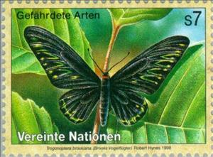 Stamp, Rajah Brooke's Birdwing (Trogonoptera brookiana), UNO Vienna,  , Insects, Butterflies, Animals (Fauna)