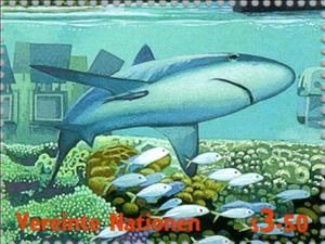 Stamp, Int. Year of the Ocean, UNO Vienna,  , Sharks, International Years, Animals (Fauna), Fishes