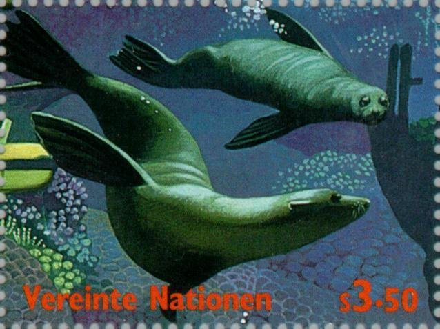 Int. Year of the Ocean