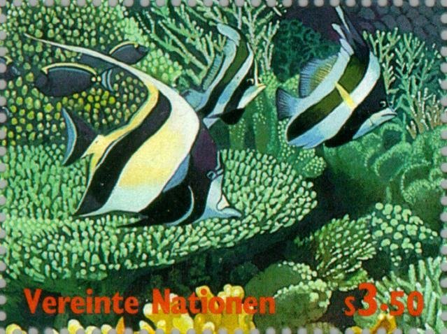 Int. Year of the Ocean