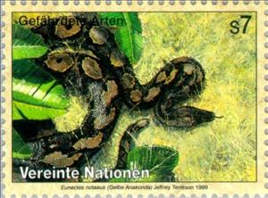 Stamp, Yellow Anaconda (Eunectes notaeus) , UNO Vienna,  , Reptiles, Snakes, Animals (Fauna)