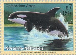 Stamp, Killer Whale (Orcinus orca), UNO Vienna,  , Mammals, Sea (Marine) Mammals, Animals (Fauna)