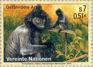 Stamp, Silvered Leaf-monkey (Trachypithecus cristatus), UNO Vienna,  , Mammals, Animals (Fauna)