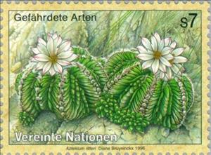 Stamp, Cactus Aztekium ritteri, UNO Vienna,  , Cacti, Plants (Flora)
