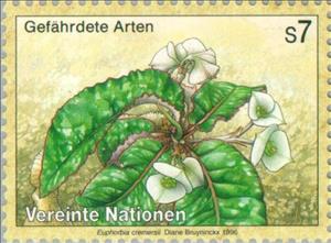 Stamp, Plants. Euphorbia cremersii, UNO Vienna,  , Plants (Flora)