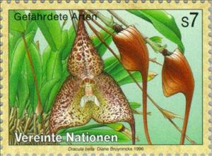 Stamp, Orchid Dracula bella, UNO Vienna,  , Orchids, Plants (Flora)