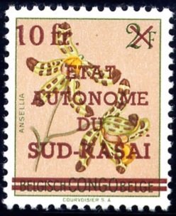 Ansellia africana (syn.Ansellia gigantea)