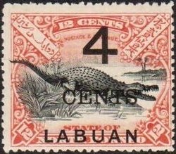 Saltwater Crocodile (Crocodylus porosus)